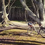 Pauza Spacja Debina (Ustka)