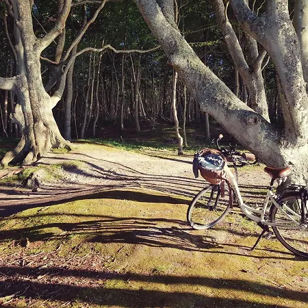 Pauza Spacja Debina (Ustka)