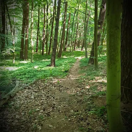 Appartamento Pauza Spacja