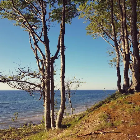 Pauza Spacja Appartamento